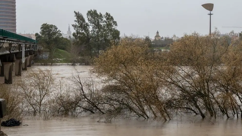 Sevilla contar&aacute; con un ambicioso plan de asfaltado