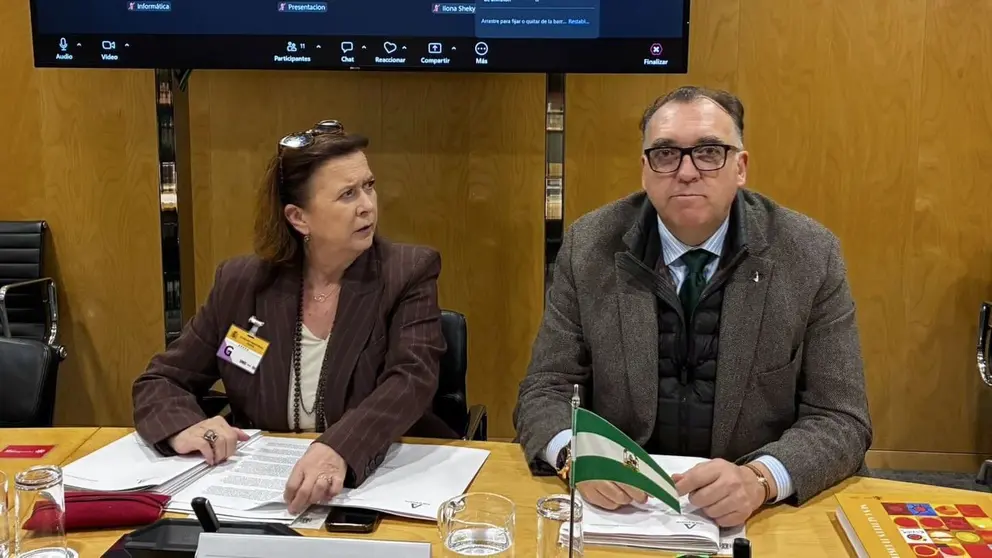 El consejero Arturo Bernal ha arremetido contra la pol&iacute;tica tur&iacute;stica del Gobierno de Espa&ntilde;a