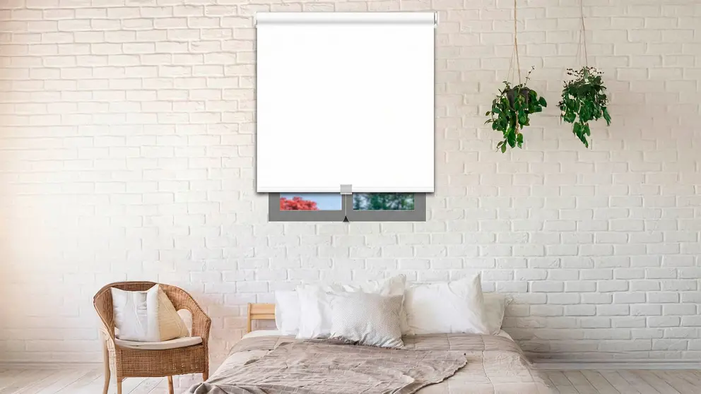 Elecci&oacute;n de estores