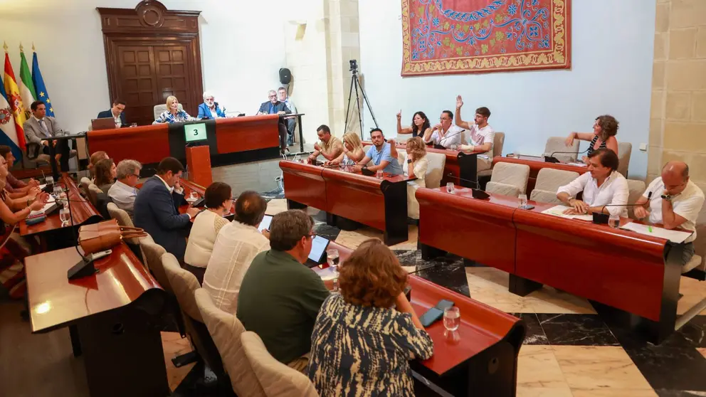 El Grupo Municipal Socialista en el Pleno del Ayuntamiento de Jerez