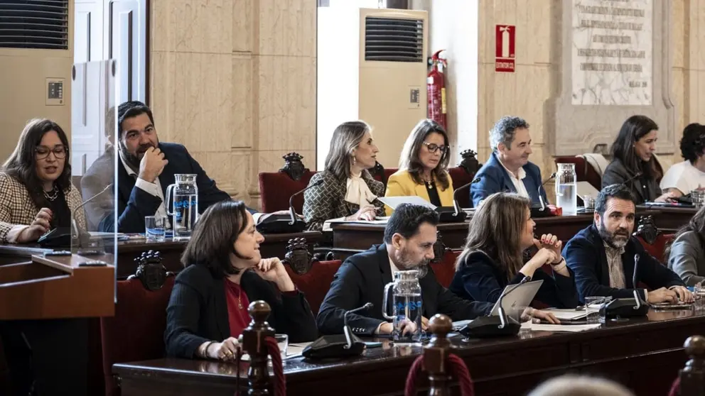 Celebraci&oacute;n del pleno en el Ayuntamiento de M&aacute;laga (1)