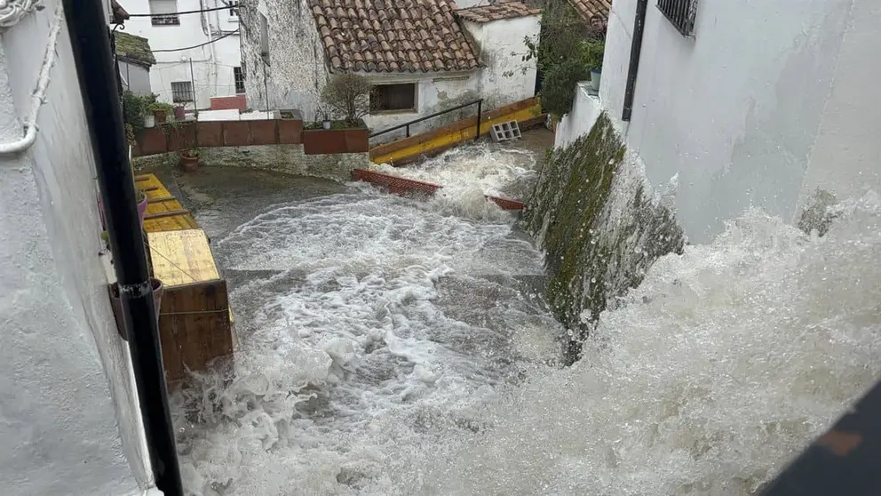 Las borrascas han dejado cuantiosos da&ntilde;os en la Sierra de C&aacute;diz