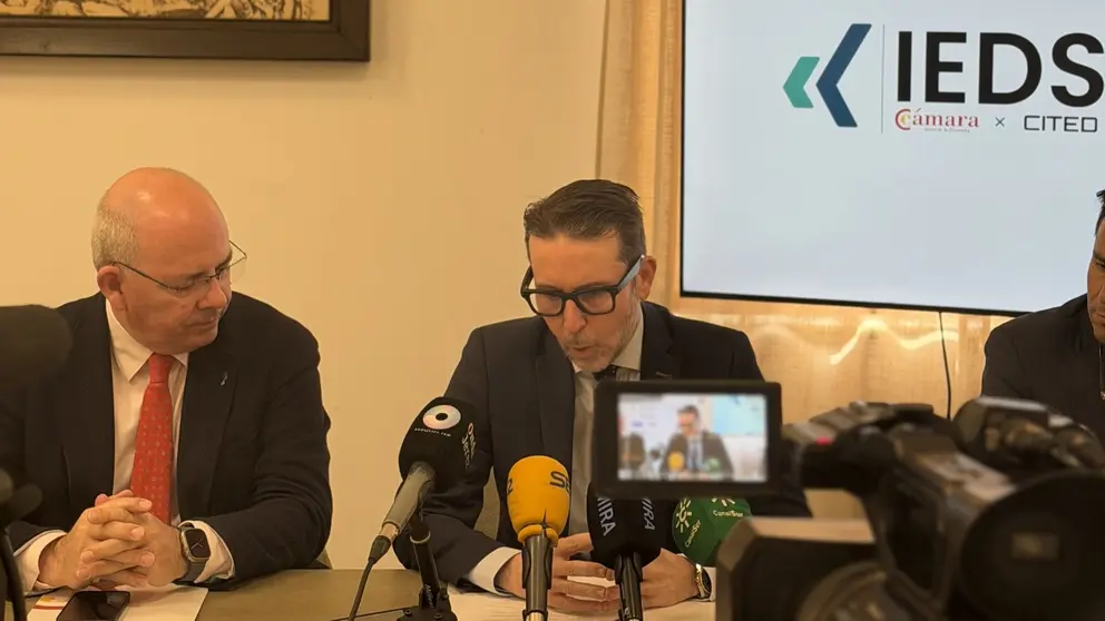 PRESENTACI&Oacute;N IEDS 