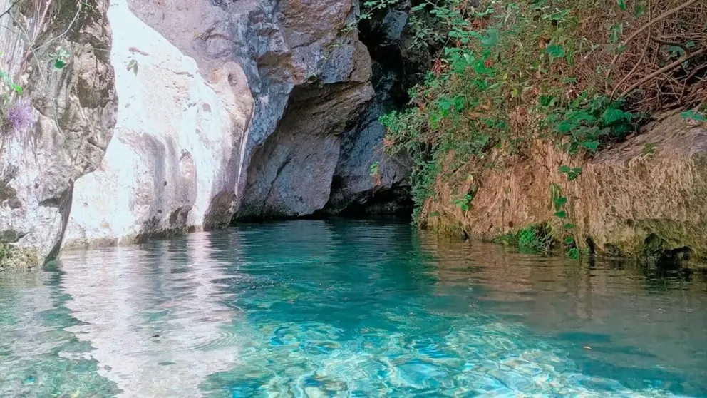 C&aacute;diz concentra proyectos claves de la Junta de Andaluc&iacute;a para la conservaci&oacute;n de la biodiversidad