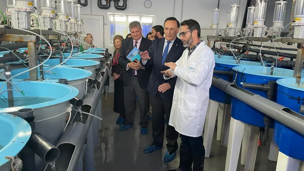 InnovAndaluc&iacute;a impulsa nuevos proyectos tecnol&oacute;gicos para empresas andaluzas