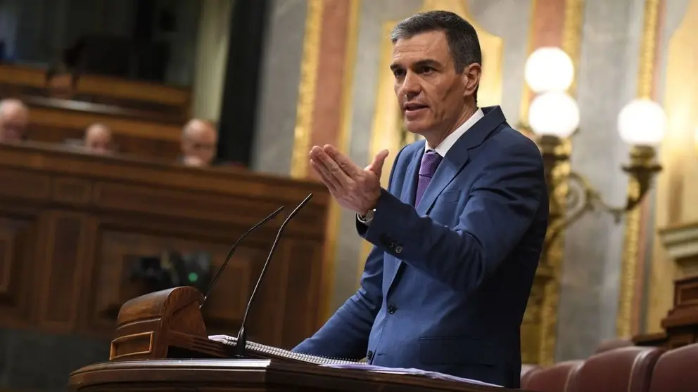 Pedro S&aacute;nchez, durante una comparecencia en el Congreso (1)