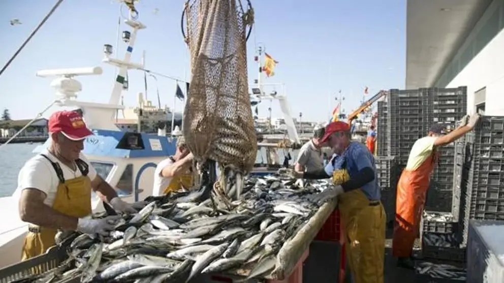 El sector primario, un pilar fundamental en la econom&iacute;a de Andaluc&iacute;a