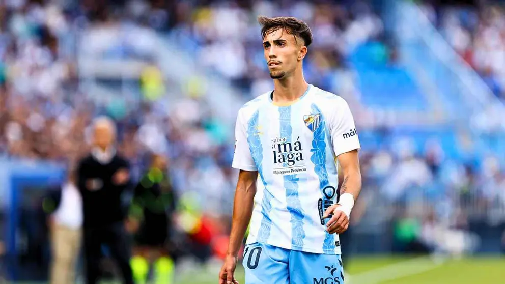 Larrubia y Luismi vuelven a entrenar con el M&aacute;laga CF