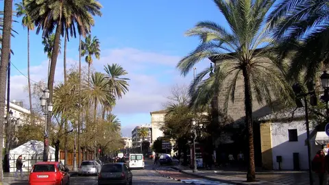 Imagen de la alameda de Cristina en Jerez.