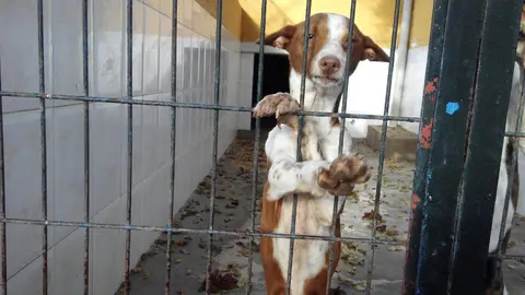 Imagen de Inma Iba&ntilde;ez