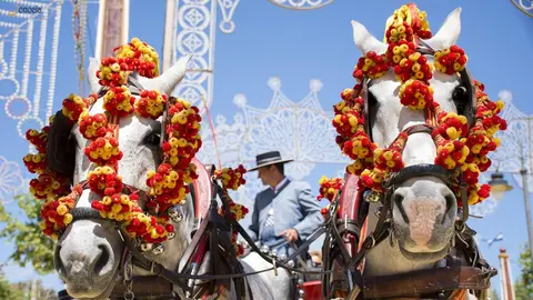 Feria del Caballo de Jerez | Jonocla Fotograf&iacute;a