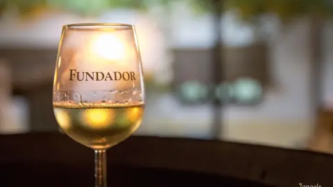 Visitas nocturnas en Bodegas Fundador | Jonocla Fotograf&iacute;a para MIRA Jerez