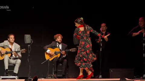 Imagen de archivo del ciclo Viernes Flamenco