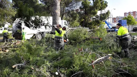 Efectos Temporal Viento en Jerez , Abril 2017