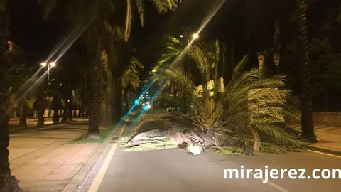 Avenida de Andaluc&iacute;a