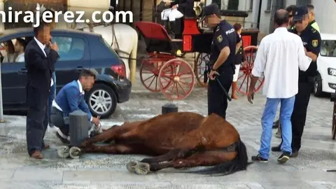 Caballo cae rendido de vuelta a casa tras varias horas en la Feria de Jerez, en 2017