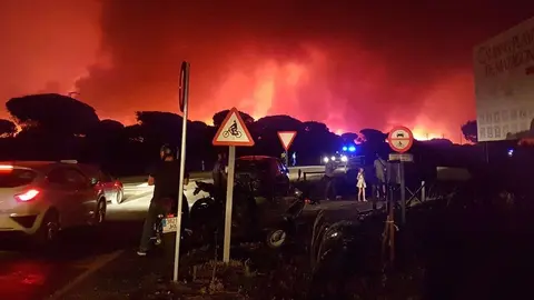 Incendio en Do&ntilde;ana - 2017