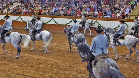 Espect&aacute;culo 'C&oacute;mo bailan los caballos andaluces'