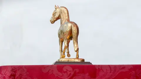Caballo de Oro | Noelia Herrera, de Jonocla Fotograf&iacute;a, para MIRA Jerez