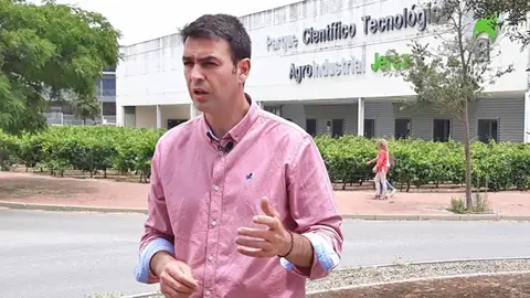 Joaqu&iacute;n Bellido