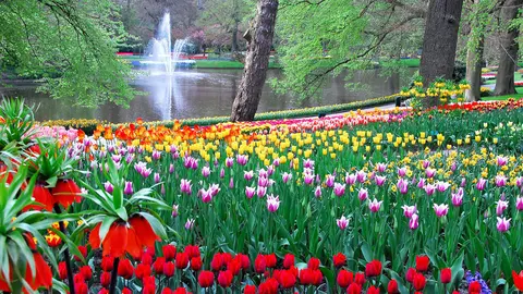 Jardines Keukenhof