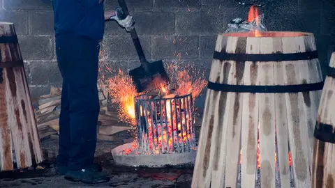 Toneler&iacute;a - Jonocla Fotograd&iacute;a | elMIRA.es