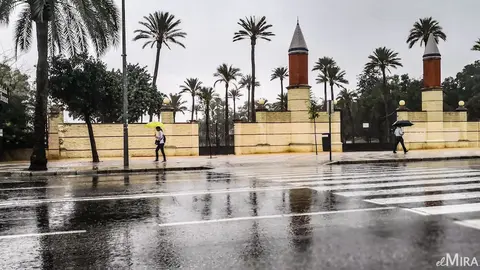 Lluvia en Jerez