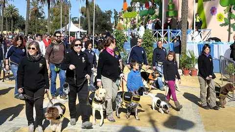 Fiesta de San Ant&oacute;n
