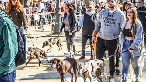 San Ant&oacute;n en Jerez