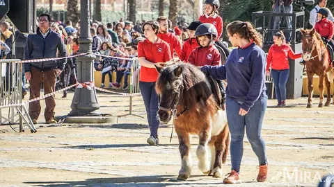 Festividad de San Ant&oacute;n en Jerez