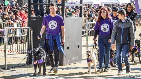 Festividad de San Ant&oacute;n en Jerez