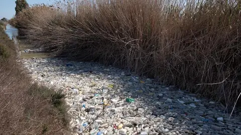 V&iacute;a: GreenPeace
