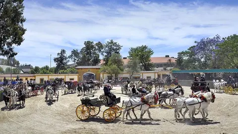 Concurso de Enganches en el Dep&oacute;sito de Sementales de Jerez | Archivo