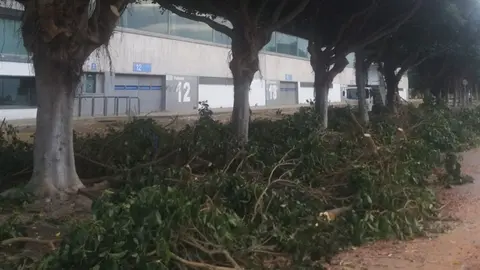 Foto de Ignacio Quevedo, miembro de NONAME