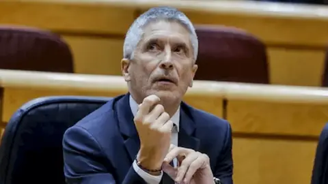 Grande-Marlaska, ministro del Interior (PSOE)