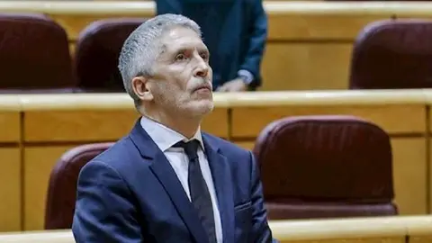 Grande-Marlaska, ministro del Interior (PSOE)