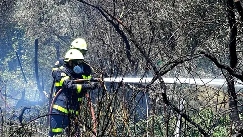 Foto: Jes&uacute;s Catal&aacute;n