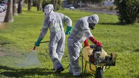 Fumigaci&oacute;n por el Virus del Nilo Occidental