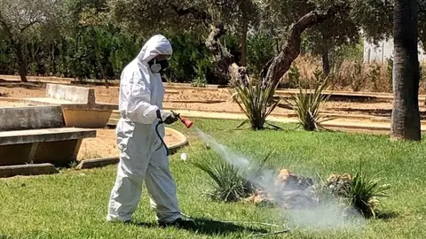 Virus del Nilo Occidental en la provincia de Sevilla
