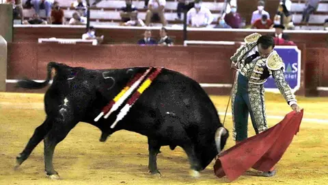 Curro Ortiz | Morales