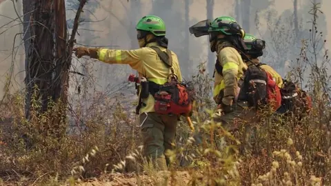Bomberos trabajando en el incendio de Almonaster | INFOCA