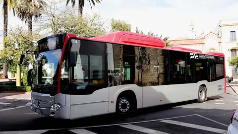 El PP asegura que "el PSOE de Mamen S&aacute;nchez est&aacute; llevando a Jerez a la ruina"