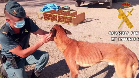 17/09/2020 Perro rescatado
SOCIEDAD ANDALUC&Iacute;A ESPA&Ntilde;A EUROPA ESPA&Ntilde;A EUROPA ALMER&Iacute;A ANDALUC&Iacute;A AUTONOM&Iacute;AS
GUARDIA CIVIL