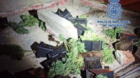 08/10/2020 Almer&iacute;a.-Sucesos.-Detenido tras deshacerse de plantas de marihuana tir&aacute;ndolas a la terraza del vecino.

Agentes de la Polic&iacute;a Nacional han desmantelado una plantaci&oacute;n indoor de marihuana y han detenido a una persona en Almer&iacute;a tras acudir a un aviso por una reyerta familiar en una vivienda.

SOCIEDAD 
POLIC&Iacute;A DE ALMER&Iacute;A