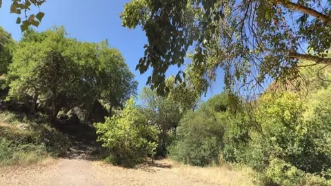 Sendero del r&iacute;o Majaceite.en Grazalema