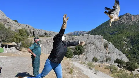 23/10/2020 Suelta de &aacute;guila calzada en el Parque Natural Sierra de Castril
SOCIEDAD ANDALUC&Iacute;A ESPA&Ntilde;A EUROPA GRANADA
JUNTA