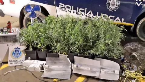 Operaci&oacute;n policial de la Polic&iacute;a Local San Fernando