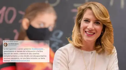 Ana Mestre | El MIRA