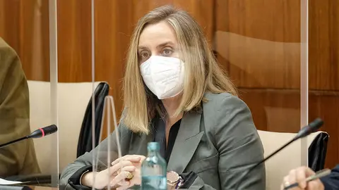 Marifr&aacute;n Carazo en el Parlamento Andaluz