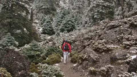 Sierra de las Nieves